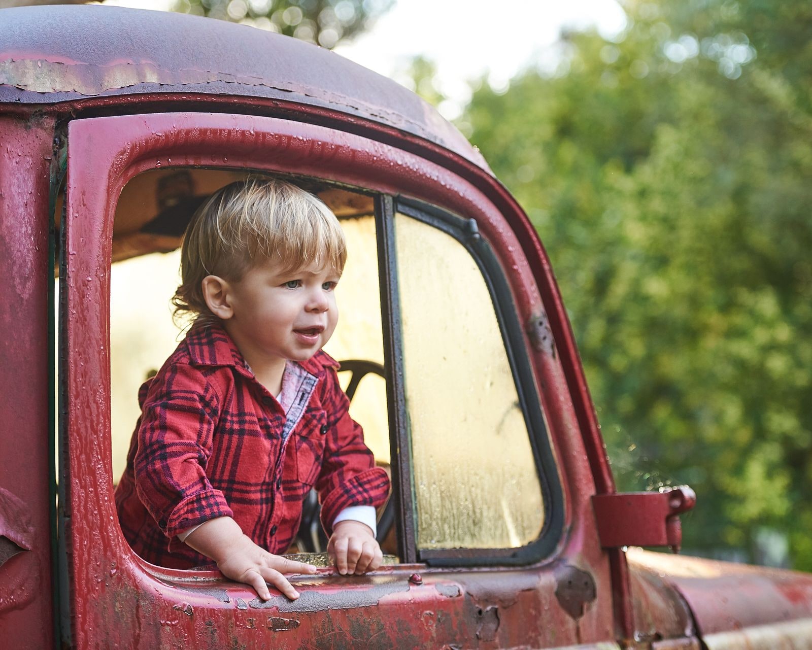 Toddler in a red plaid shirt leans out the window of a rusty red truck