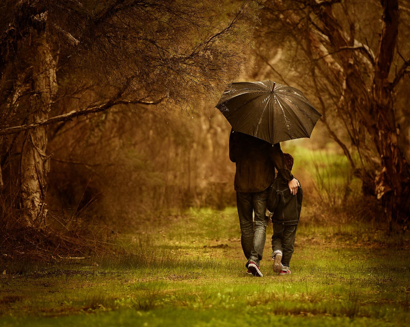 A figure with an umbrella walking down a tree-lined path