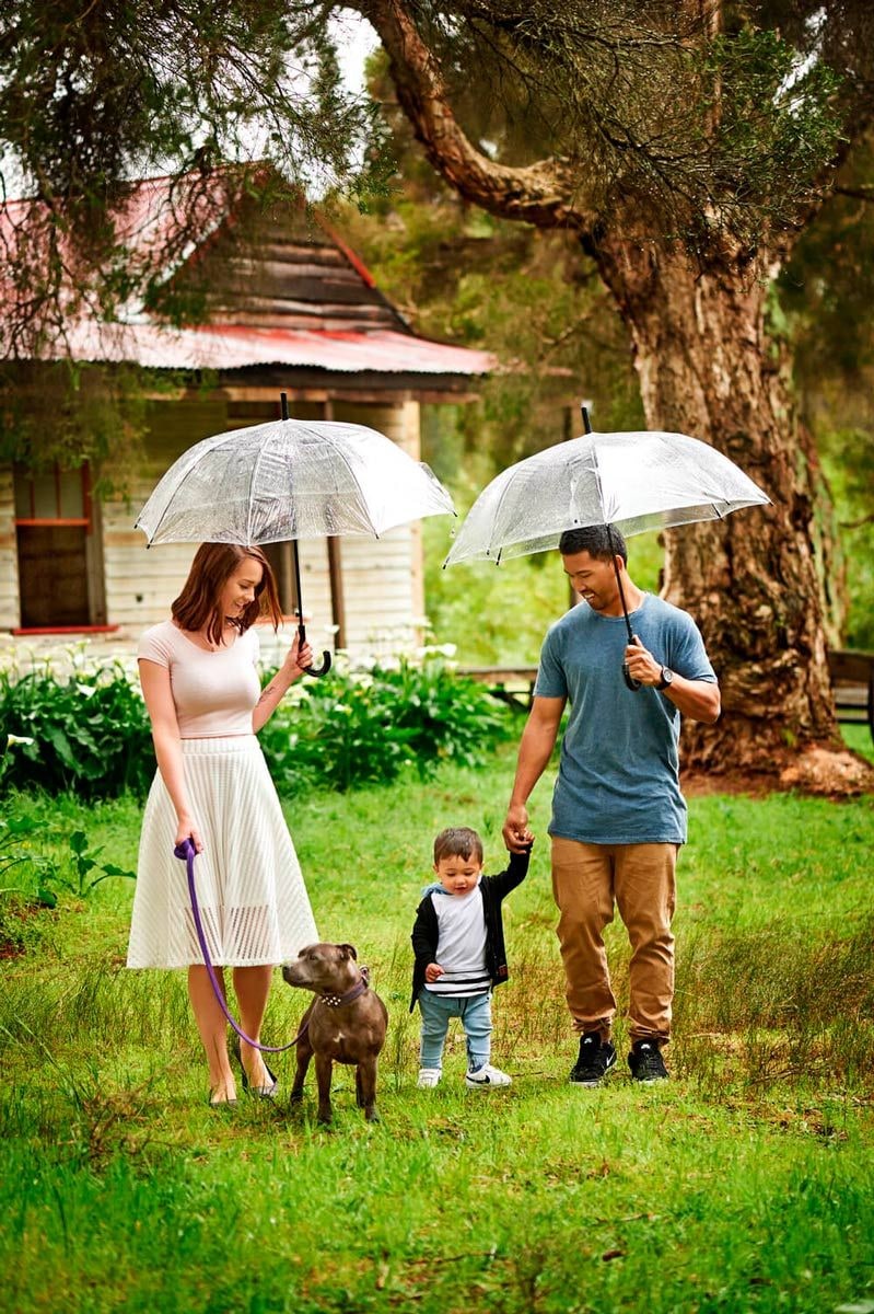 Parents under clear umbrellas walk their toddler and dog across the grass near an old cottage