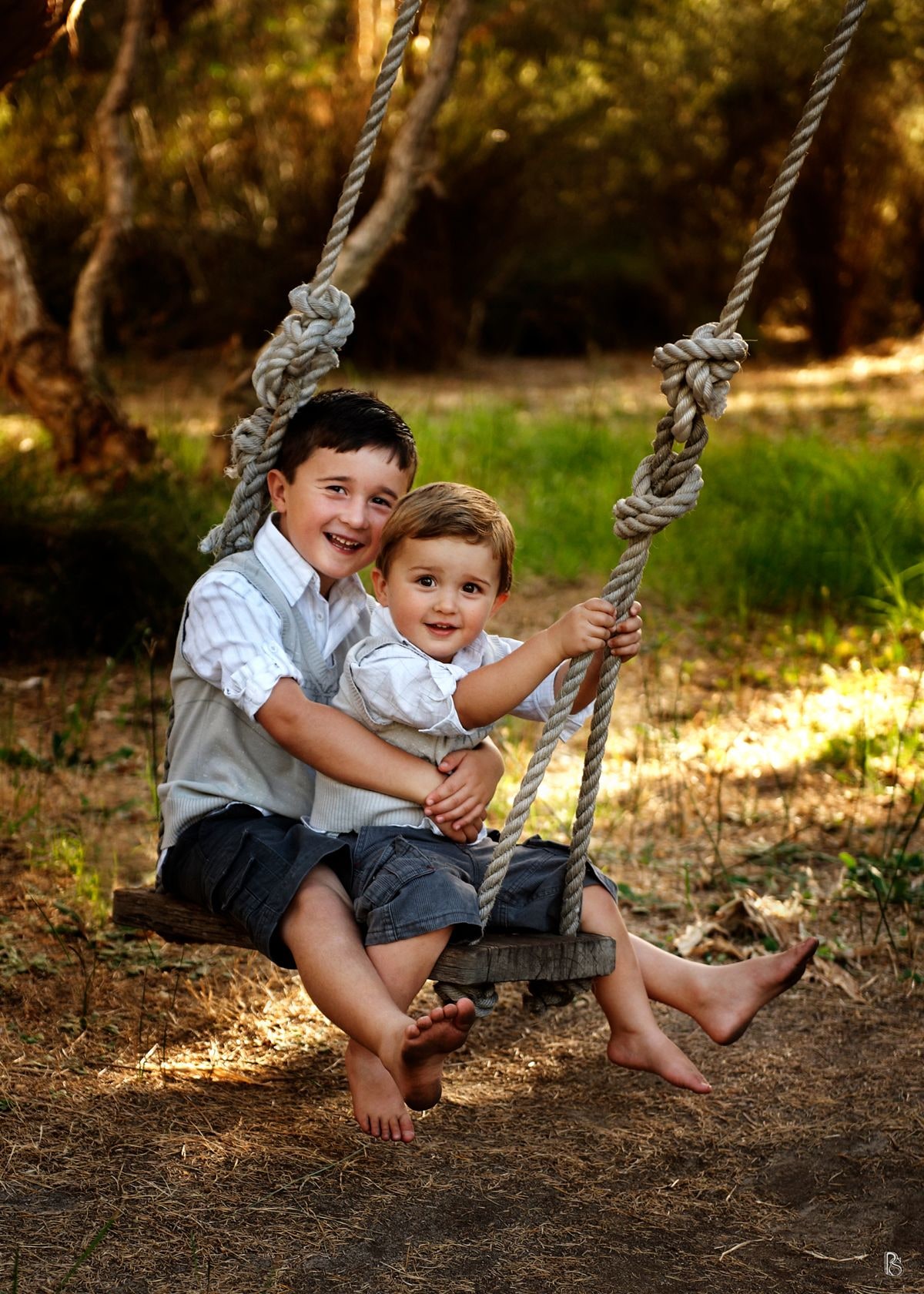Two brothers sharing the swing in golden afternoon light